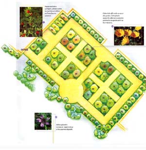 Plan du jardin des recollets
